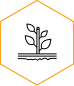 Agriculture and plant collection icon