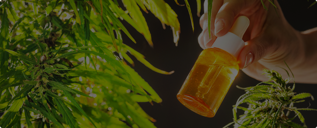 Hand holding an amber prescription bottle against a backdrop of cannabis plants